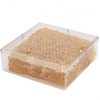 Load image into Gallery viewer, Cut Comb Honeycomb Container - 4-5/16″ x 4-5/16″ x 1-3/8″
