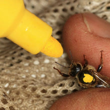 Load image into Gallery viewer, Yellow Queen Marking Pen