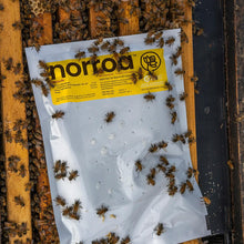 Load image into Gallery viewer, Norroa™
