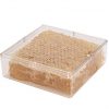 Cut Comb Honeycomb Container - 4-5/16″ x 4-5/16″ x 1-3/8″-  C/ 6