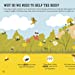 Load image into Gallery viewer, The Bee Book- Children
