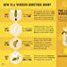 Load image into Gallery viewer, The Bee Book- Children
