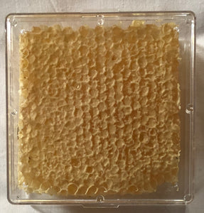 Comb Honey