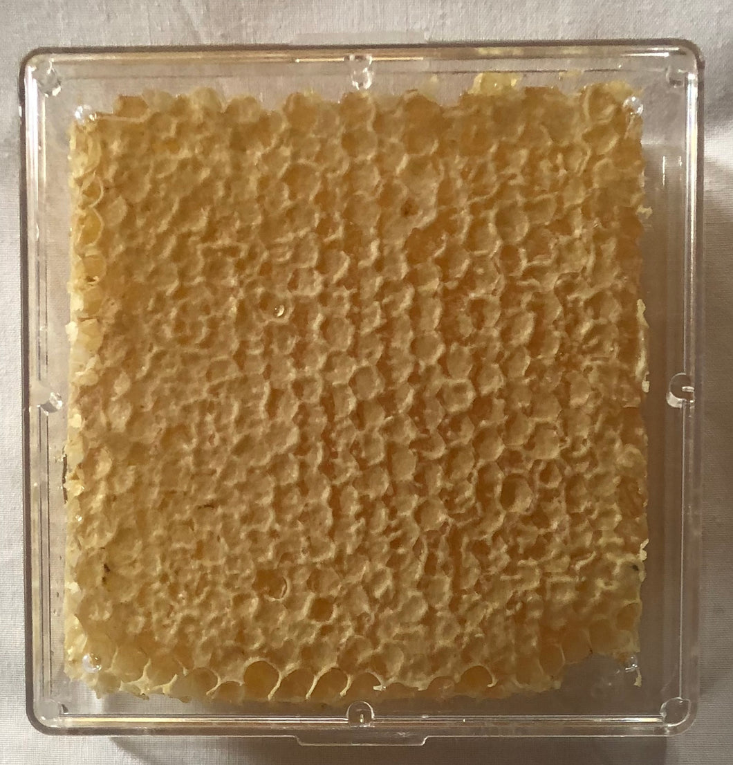 Comb Honey
