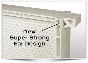 Acorn One-Piece Plastic Bee Frames - 6 1/4"(Medium) - White - Standard Wax