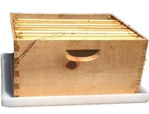 HIVE DRIP TRAY