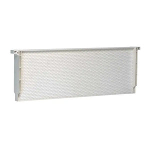 Acorn One-Piece Plastic Bee Frames - 6 1/4"(Medium) - White - Standard Wax